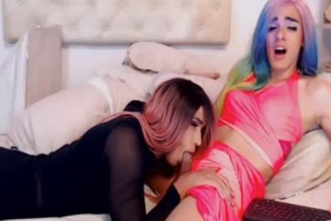 dilettante lady-man pair oral sex job