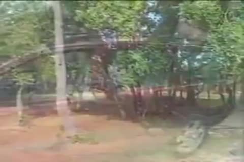 naughty Ladyboys Sucks And Sexs outside