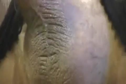 asian Nicole Cumming Hard