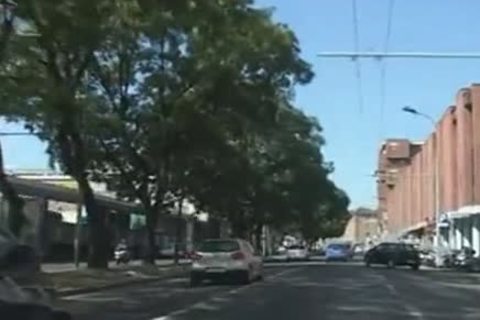 wild shemale And wild Female